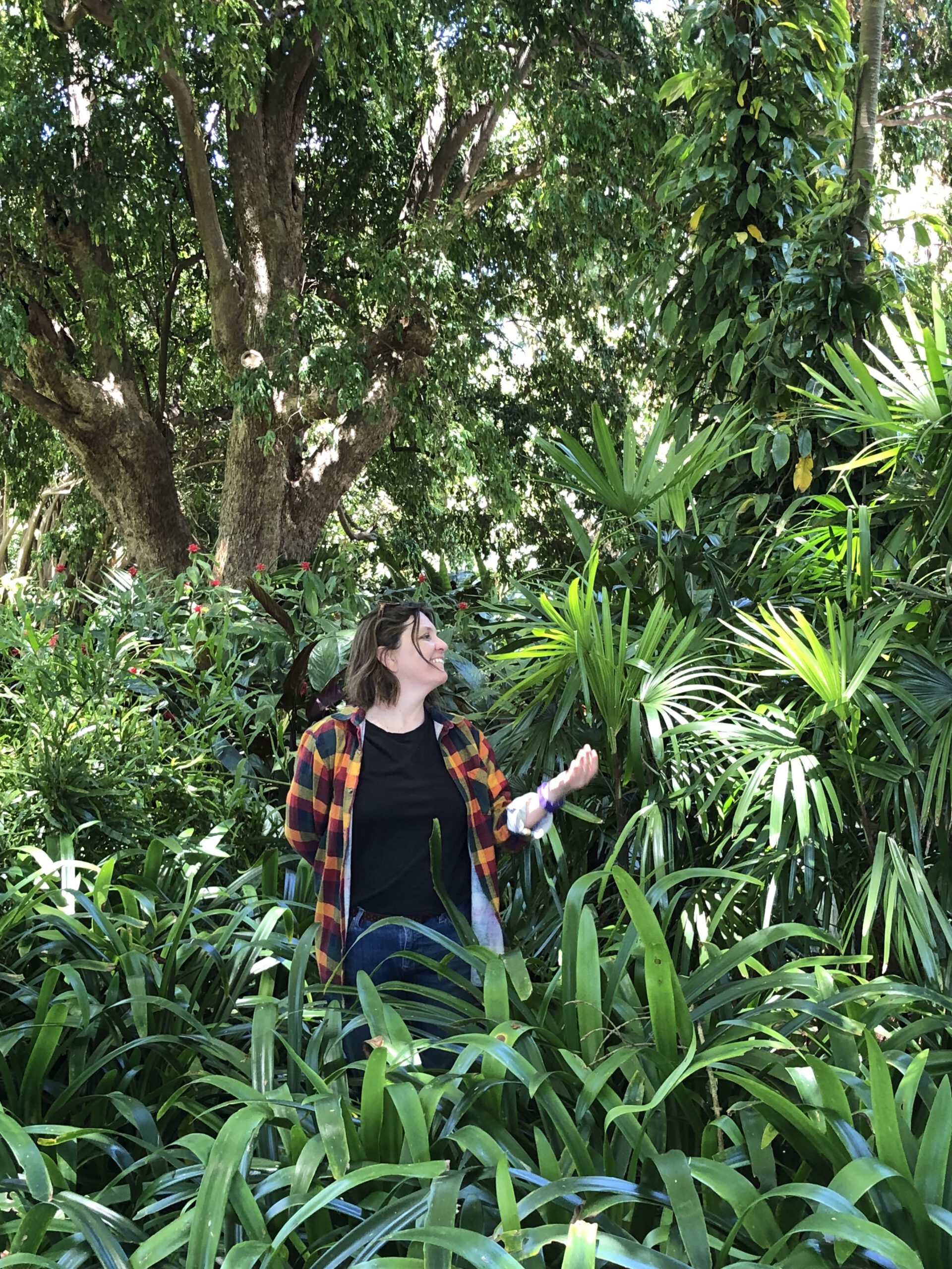 Book your Forest Therapy walk in Australia!