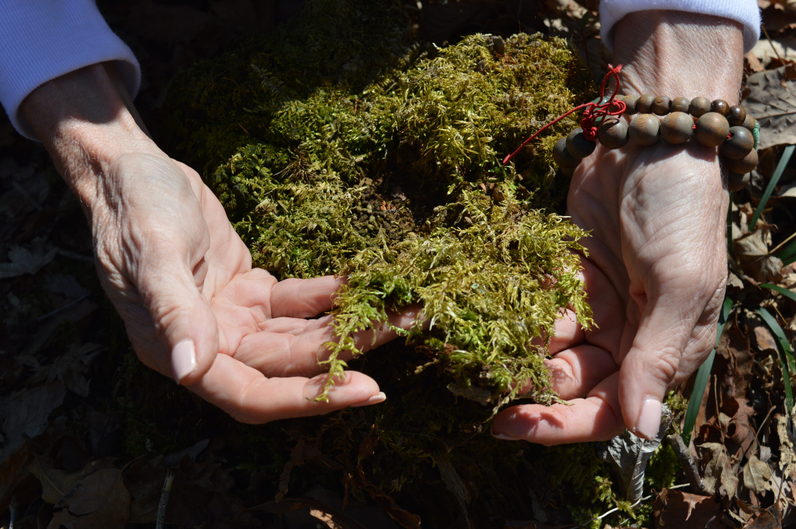 20 Inspiring Nature Quotes