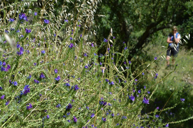 If you ever feel lost, find yourself in nature