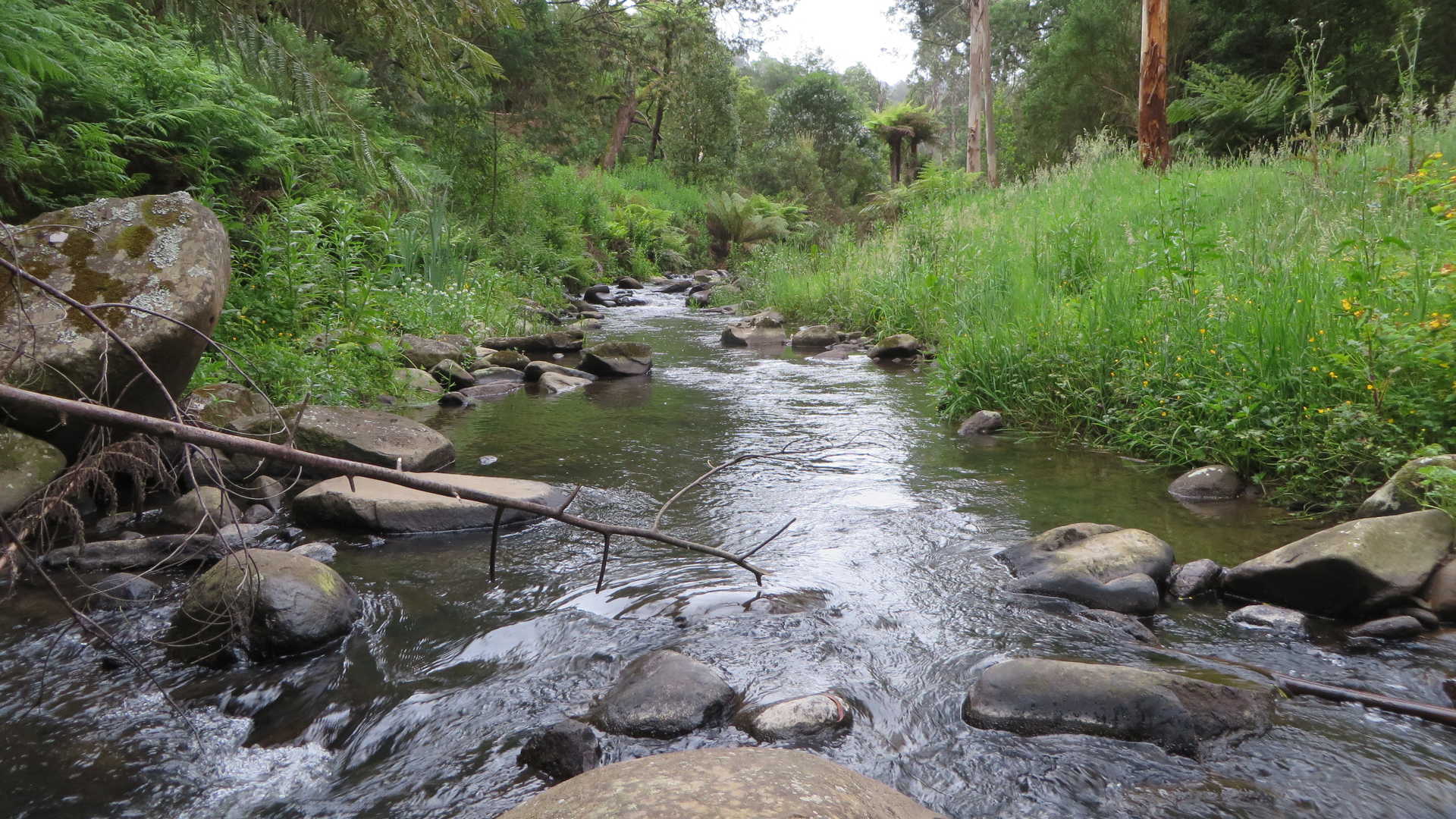 Find a quiet place in nature and notice…