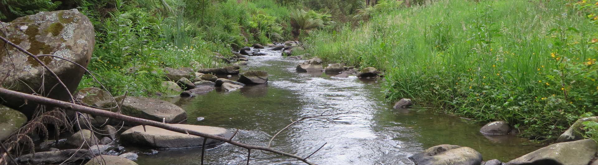 Managing Everyday Stress Mindfully