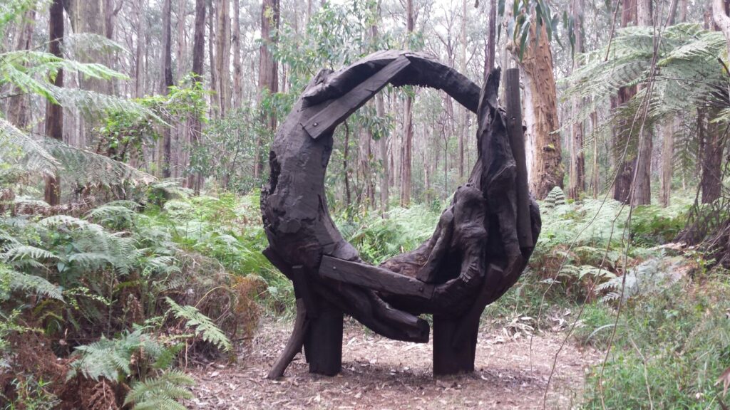 Take a relaxing “Forest bathing” walk close to Melbourne – Toolangi