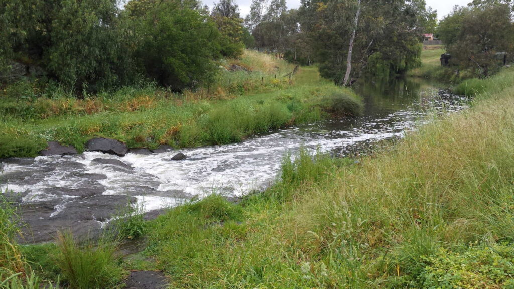 A rainy day in summer
