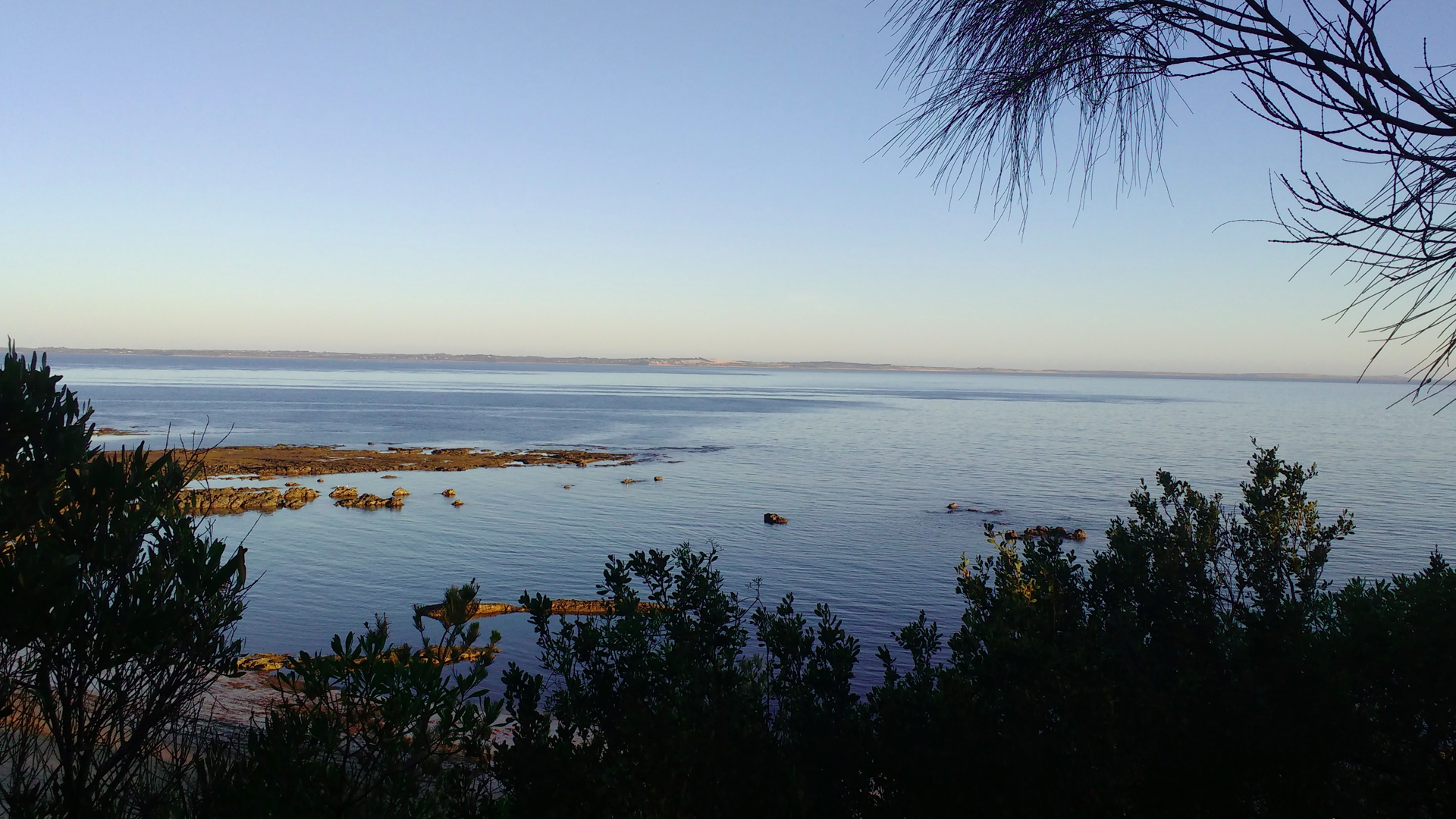 Unexpected encounter with nature!