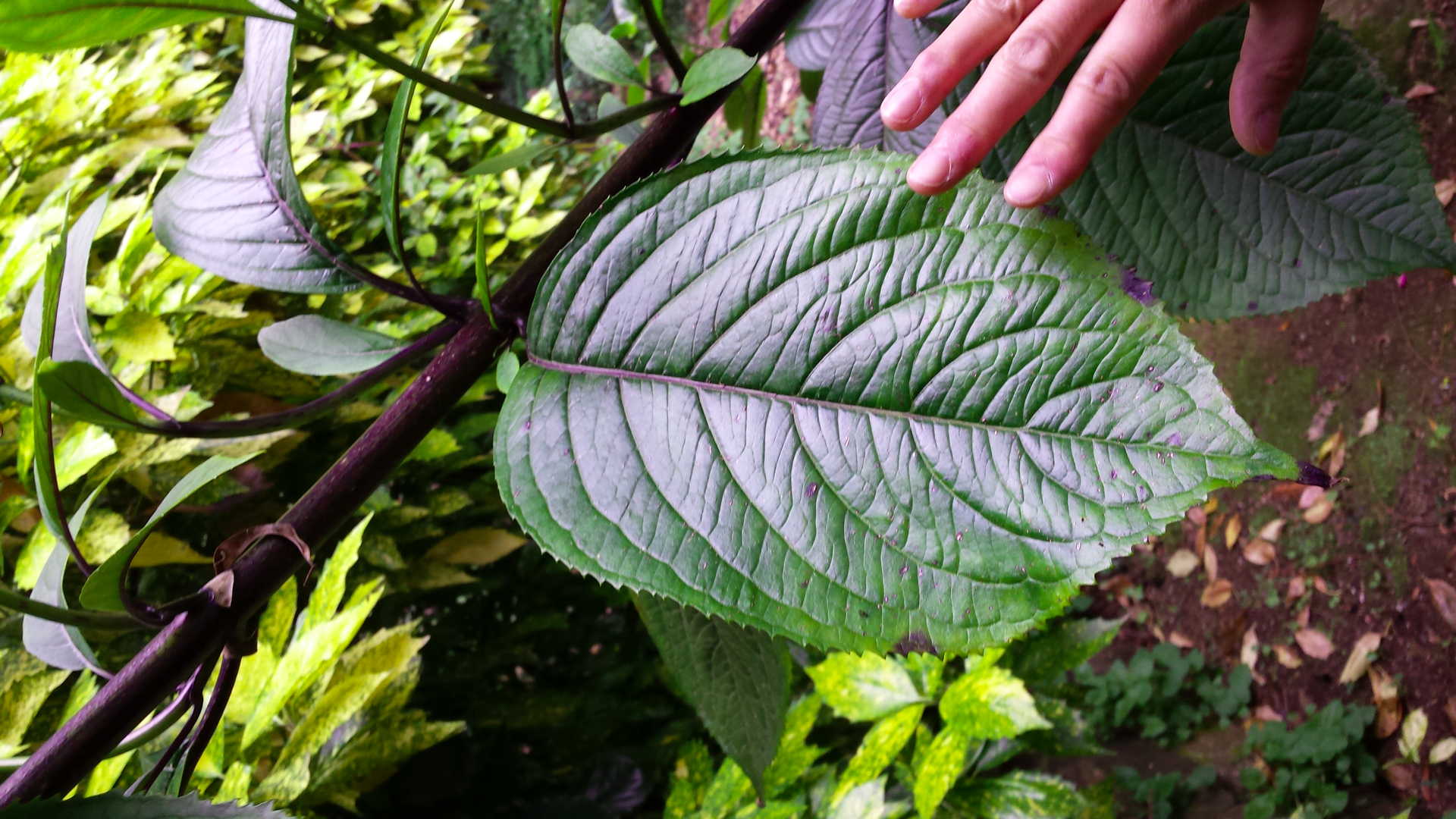 Make your sit spot practice private and intimate