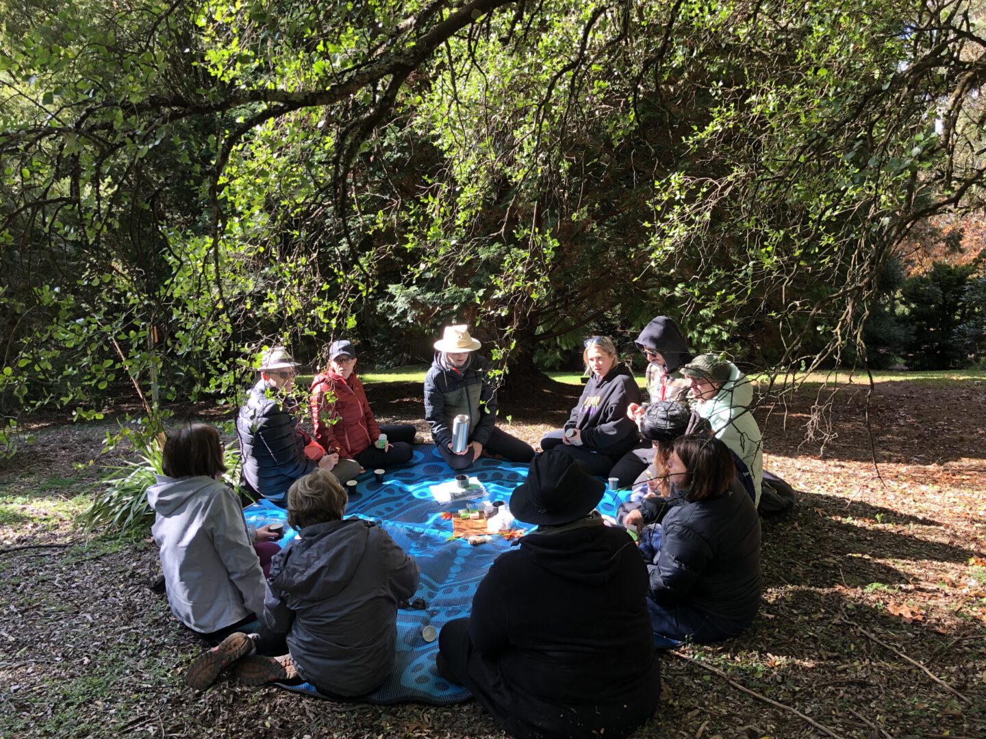 Nature Therapy at the Blue Mountains Botanic Garden