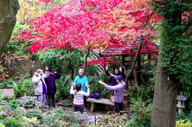Shinrin-yoku at Forest Glades Gardens