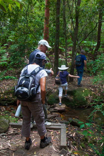 ©2019 Mayumi Kataoka - Forest Therapy creek crossing