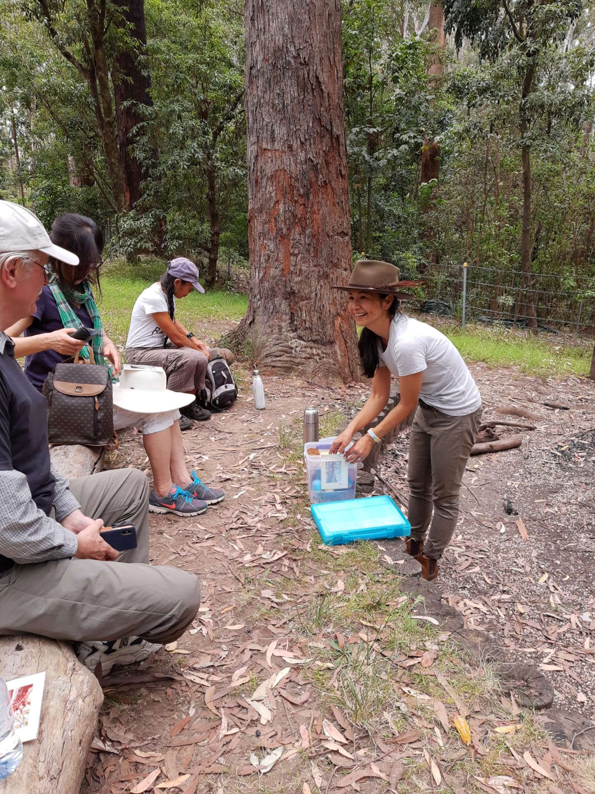 ©2019 Mayumi Kataoka - Forest Therapy tea ceremony