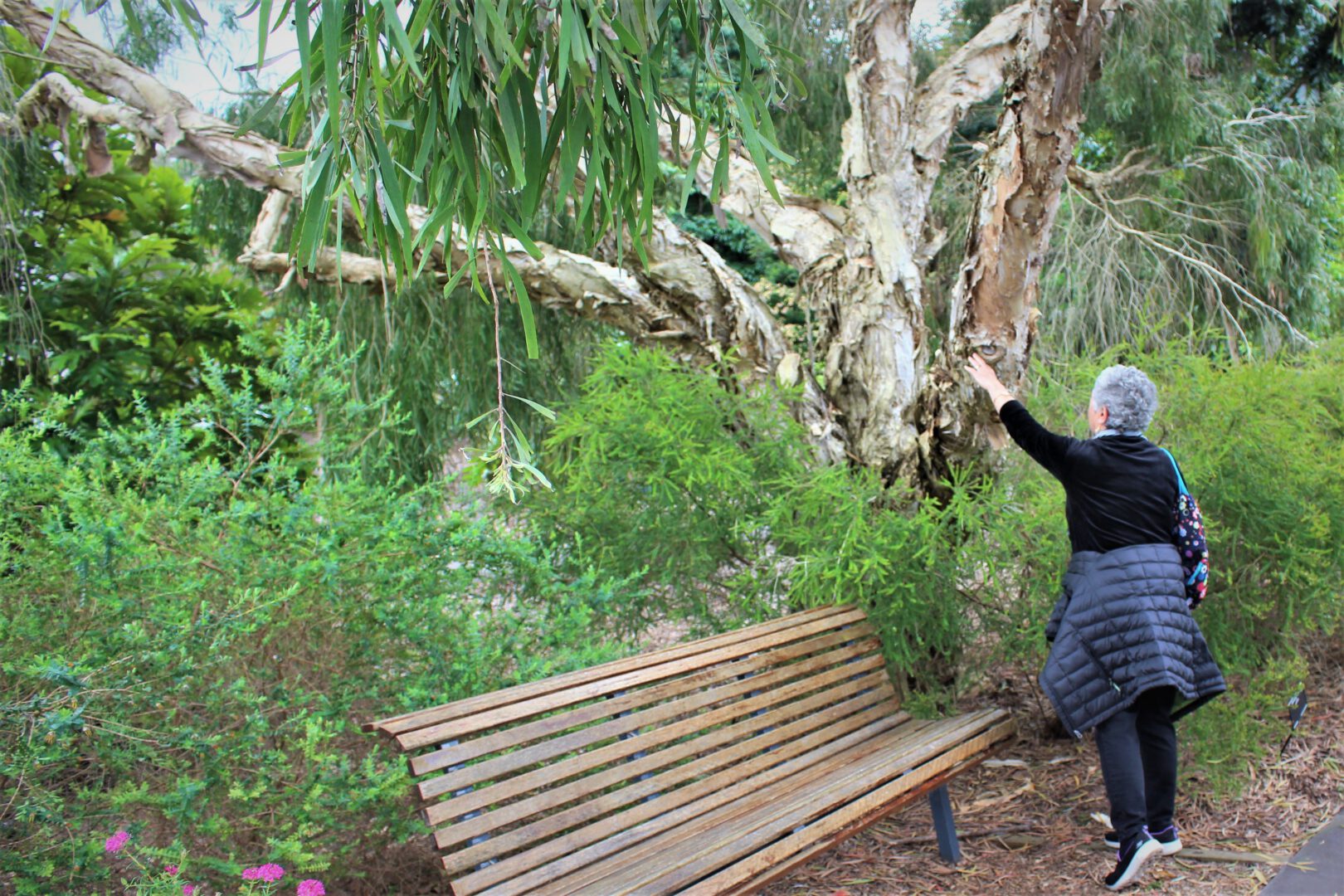 Nature Therapy at the Australian Botanic Gardens, Mount Annan