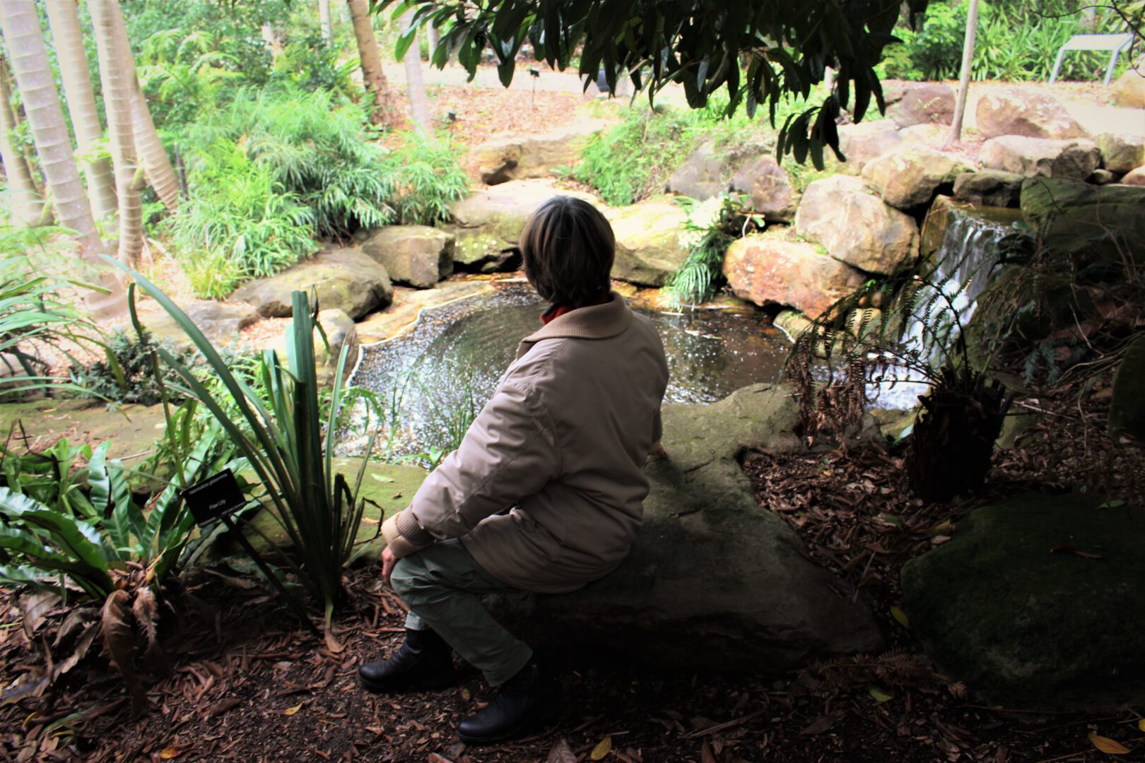 Nature Therapy at the Australian Botanic Gardens