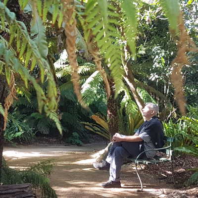 sit spot forest therapy